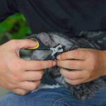 1pcs Pet Nail Clippers Cat Nail Clippers Claw Trimmer Small Animals Nail Grooming - Image 2