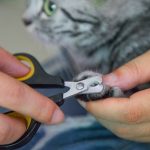 1pcs Pet Nail Clippers Cat Nail Clippers Claw Trimmer Small Animals Nail Grooming - Image 3