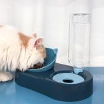 2 in 1 Cat Feeder Bowl Automatic Drinking Storage WaterBowl Dispenser Water