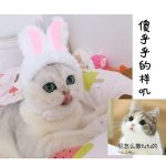 Funny Pet Cat Cap Costume Warm Rabbit Hat New Year Party - Image 5