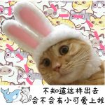 Funny Pet Cat Cap Costume Warm Rabbit Hat New Year Party - Image 6