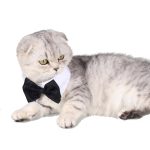 Adjustable Pets Cat Bow Tie Pet Costume Necktie Collar