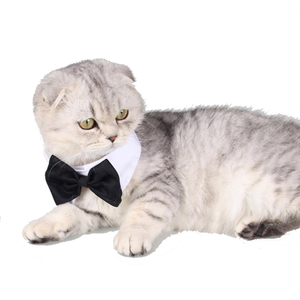 Adjustable-Pets-Dog-Cat-Bow-Tie-Pet-Costume-Necktie-Collar-for-Small-Dogs-Puppy-Grooming-Accessories Adjustable Pets Cat Bow Tie Pet Costume Necktie Collar - Image 1