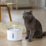 Cat Water Fountain with LED Lighting 5 Pack Filters 2.4L USB Cats - Image 2