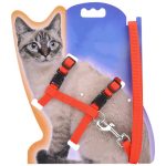 Cat Collar Harness and Leash Hot Sale 4 Colors Nylon Products for Animals - Image 2