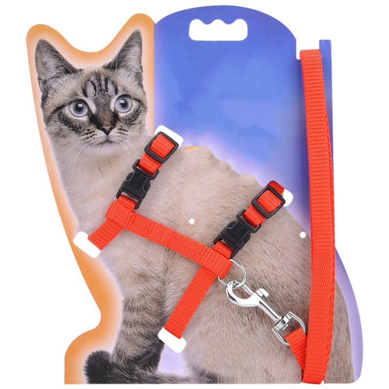 Cat Collar Harness and Leash Hot Sale 4 Colors Nylon Products for Animals - Image 2