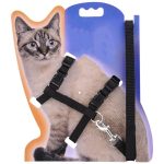 Cat Collar Harness and Leash Hot Sale 4 Colors Nylon Products for Animals