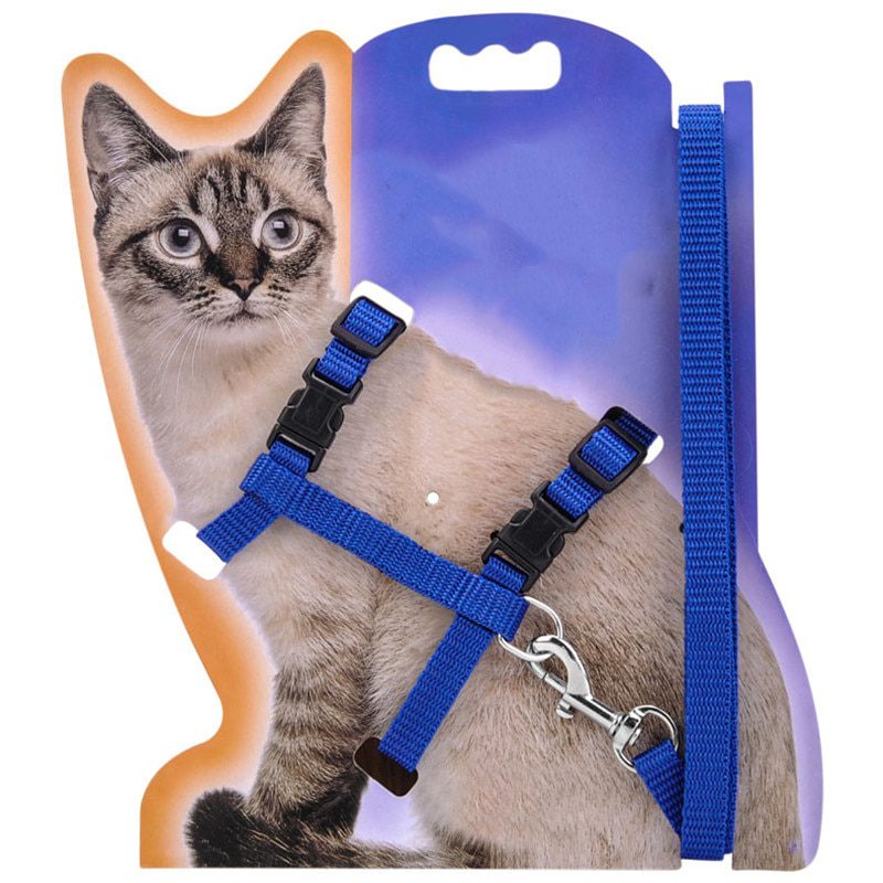 Cat Collar Harness and Leash Hot Sale 4 Colors Nylon Products for Animals - Image 3