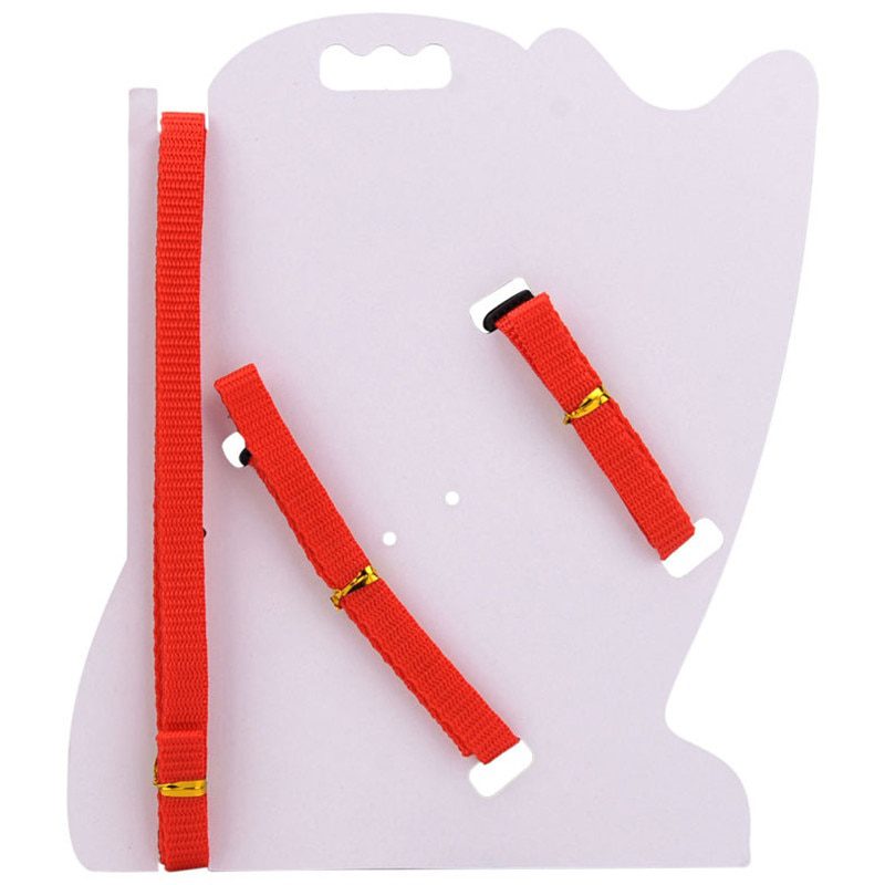 Cat Collar Harness and Leash Hot Sale 4 Colors Nylon Products for Animals - Image 5