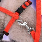 Cat Collar Harness and Leash Hot Sale 4 Colors Nylon Products for Animals - Image 6