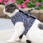 Cat Harness Vest Collar Outdoor Walking Lead Leash Set Cat - Image 2
