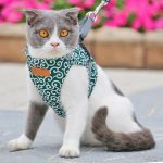 Cat Harness Vest Collar Outdoor Walking Lead Leash Set Cat
