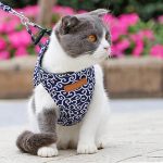 Cat Harness Vest Collar Outdoor Walking Lead Leash Set Cat - Image 3