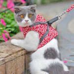 Cat Harness Vest Collar Outdoor Walking Lead Leash Set Cat - Image 4