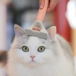 Cat Shaving Hair Grooming Comb Macaron Pet Tangled Hair Fur Remover