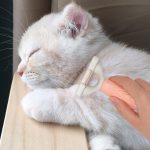 Cat Shaving Hair Grooming Comb Macaron Pet Tangled Hair Fur Remover - Image 6
