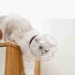 Cat Grooming Accessories Anti-Bite Muzzle Breathable Mask Anti-Licking - Image 3