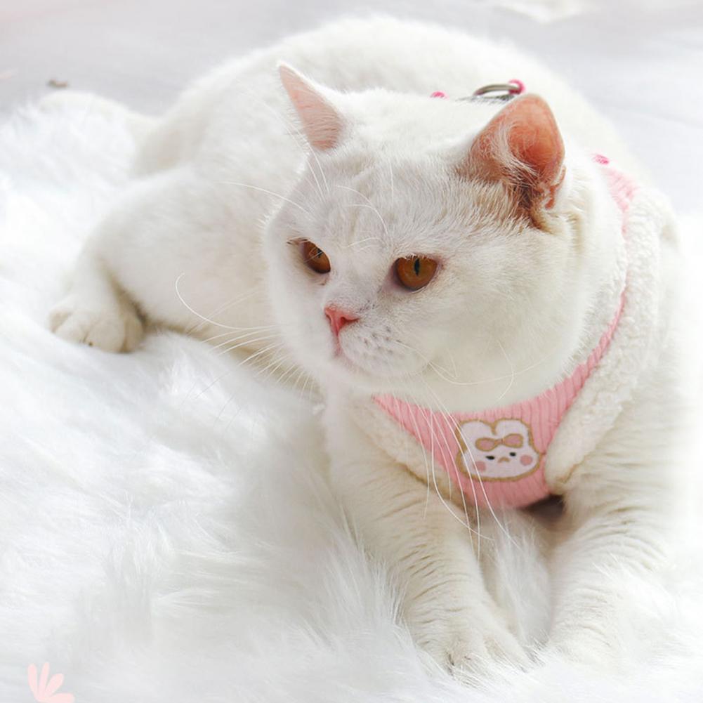Cat-Leash-1-Set-Practical-Escape-proof-Quick-Release-Cat-Vest-Harness-Clothes-Pet-Supplies Cat Leash 1 Set Practical Escape-proof Quick Release Cat Vest Harness - Image 1