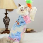 Cat Winter Costume Fashion Windproof Winter Warm Cat Jumpsuit - Image 2