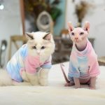Cat Winter Costume Fashion Windproof Winter Warm Cat Jumpsuit - Image 3
