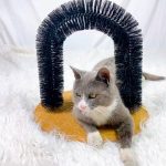 Comfortable Arch Cats Massager Pet Cat Itching Grooming Supplies - Image 2