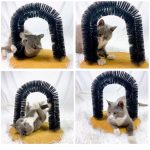 Comfortable Arch Cats Massager Pet Cat Itching Grooming Supplies - Image 6