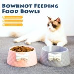 Cute Pet Bowl Cats Feeding Supplies Non-slip Leak-proof - Image 2