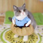 Funny Cat Costumes Uniform Suit Cat Clothes Kitty Kitten Uniform - Image 3