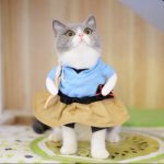 Funny Cat Costumes Uniform Suit Cat Clothes Kitty Kitten Uniform - Image 4