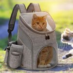 Outdoor Cat Breathable Bag Mesh Portable Backpack Foldable Large Capacity - Image 2