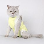 Pet Sterilization Suit Lovely Comfortable Soft Pet Cat Rehabilitation - Image 2