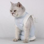 Pet Sterilization Suit Lovely Comfortable Soft Pet Cat Rehabilitation - Image 5