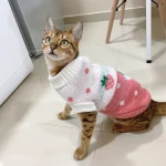 Winter Warm Sphynx Cat Clothes Puppy Kitten Knitted Sweater Hoodies For Sphin - Image 3