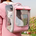 Pet cat back bag backpack breathable cat travel outdoor shoulder